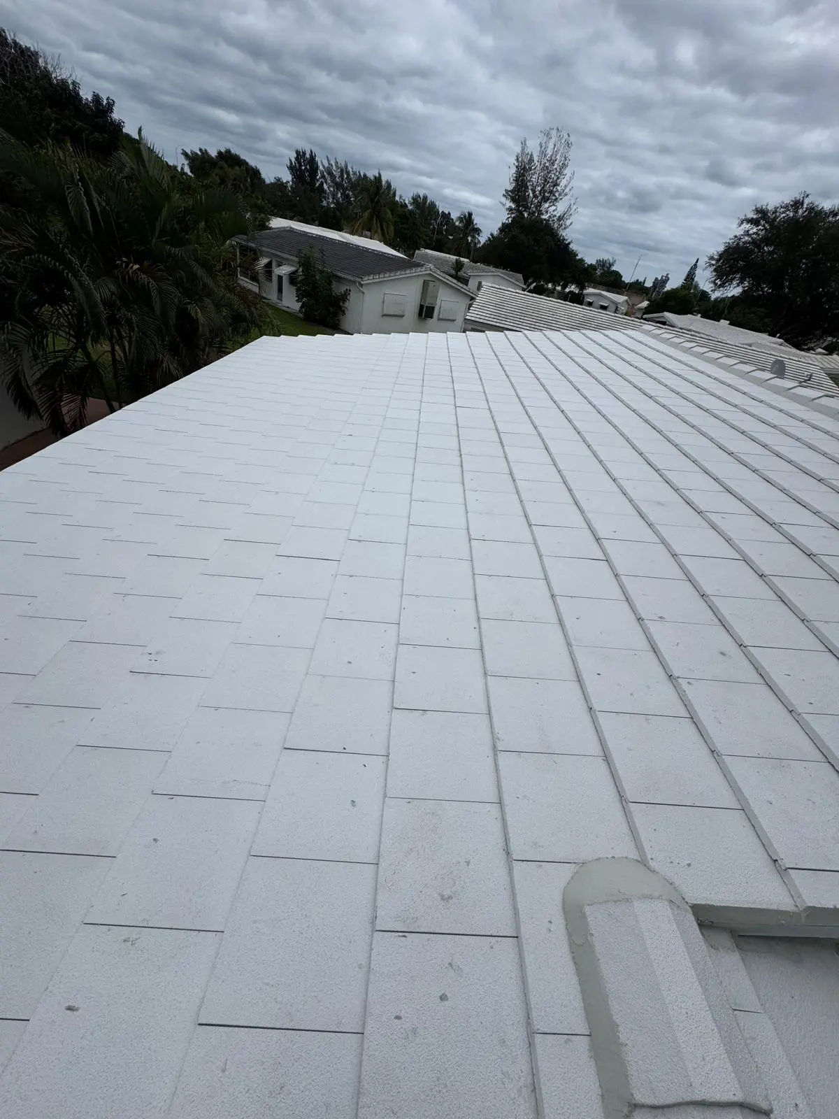 Professional Roofing Team